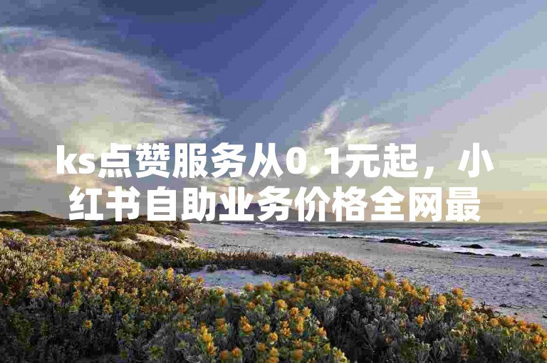 ks点赞服务从0.1元起，小红书自助业务价格全网最实惠。