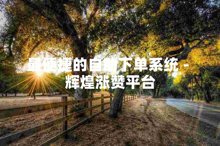 最便捷的自助下单系统 - 辉煌涨赞平台