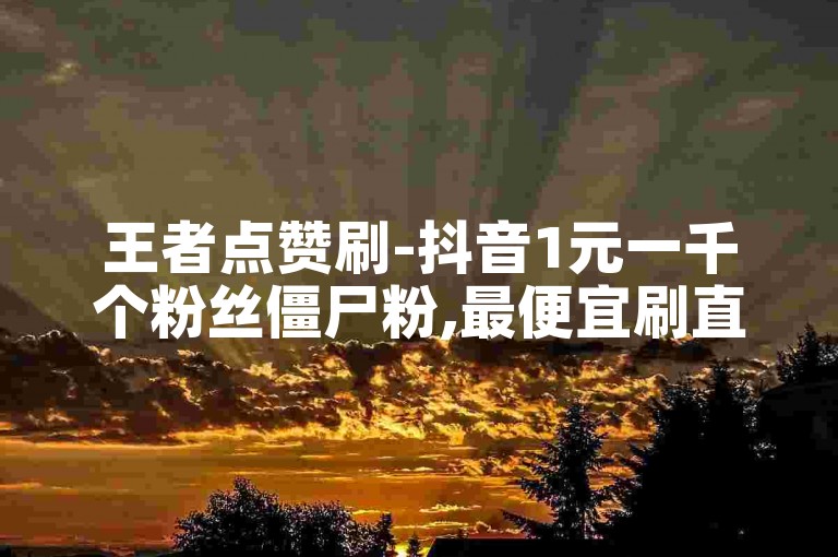 王者点赞刷-抖音1元一千个粉丝僵尸粉,最便宜刷直播人气