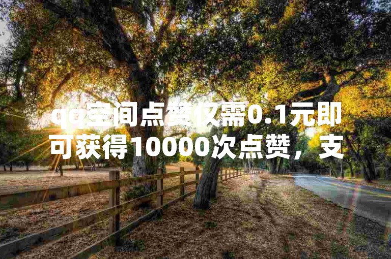 qq空间点赞仅需0.1元即可获得10000次点赞，支持微信支付。