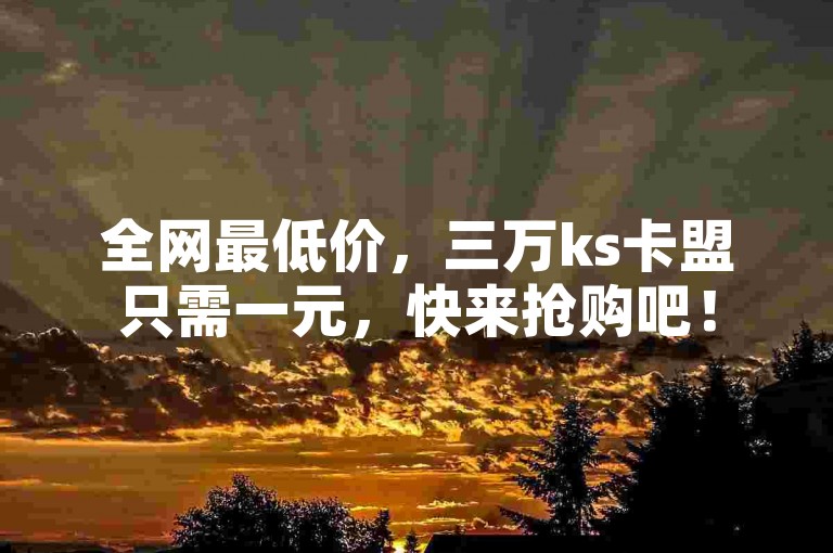 全网最低价，三万ks卡盟只需一元，快来抢购吧！
