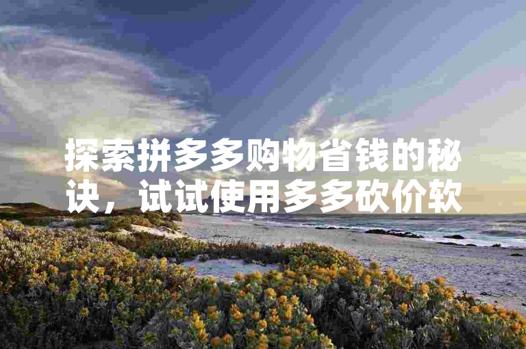 探索拼多多购物省钱的秘诀，试试使用多多砍价软件来获取额外优惠。