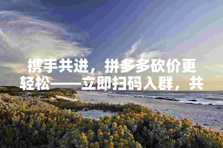 携手共进，拼多多砍价更轻松——立即扫码入群，共享优惠！