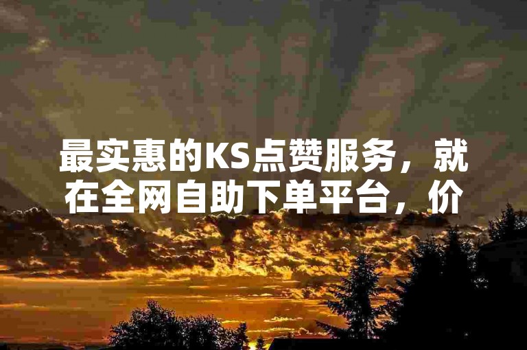 最实惠的KS点赞服务，就在全网自助下单平台，价格亲民，服务优质。