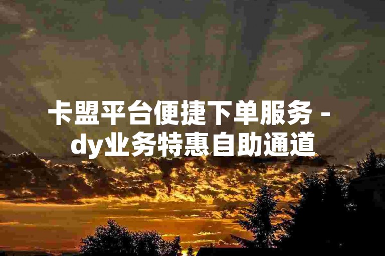 卡盟平台便捷下单服务 - dy业务特惠自助通道