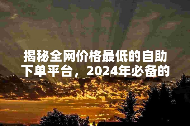 揭秘全网价格最低的自助下单平台，2024年必备的最实惠自助下单服务！