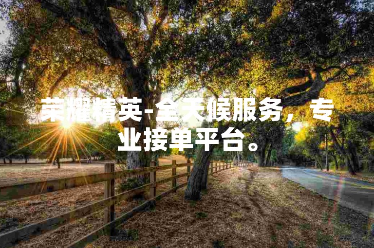 荣耀精英-全天候服务，专业接单平台。