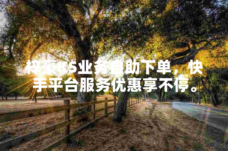 梓豪KS业务自助下单，快手平台服务优惠享不停。