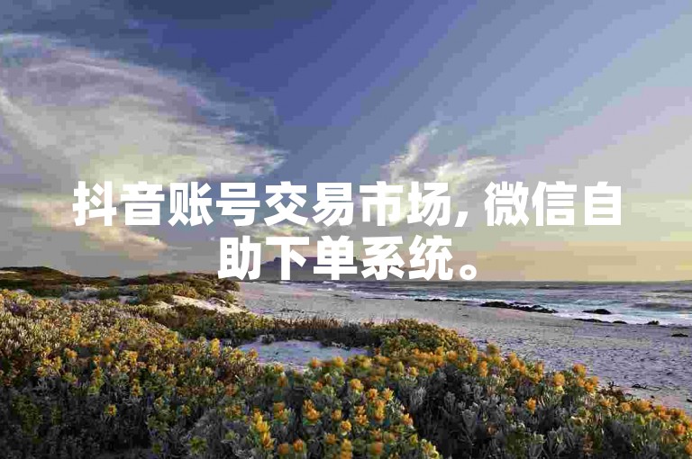 抖音账号交易市场, 微信自助下单系统。