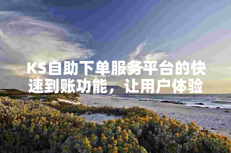 KS自助下单服务平台的快速到账功能，让用户体验更加便捷高效。