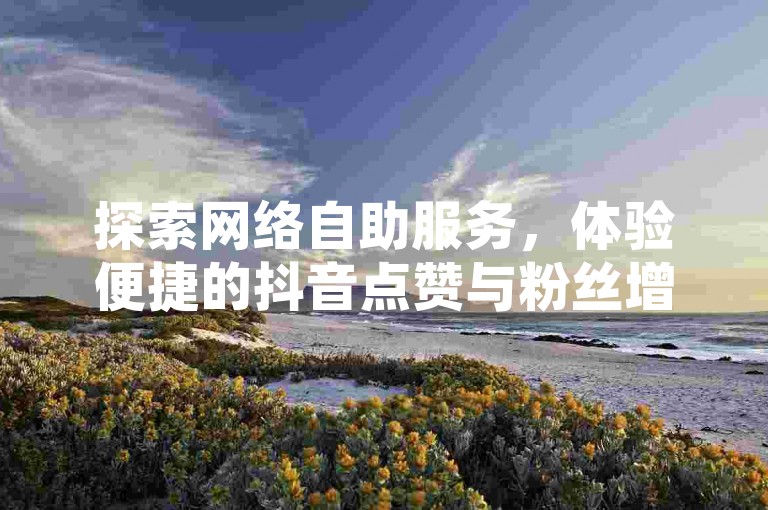 探索网络自助服务，体验便捷的抖音点赞与粉丝增长服务。