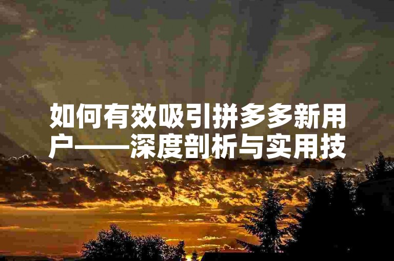如何有效吸引拼多多新用户——深度剖析与实用技巧揭秘
