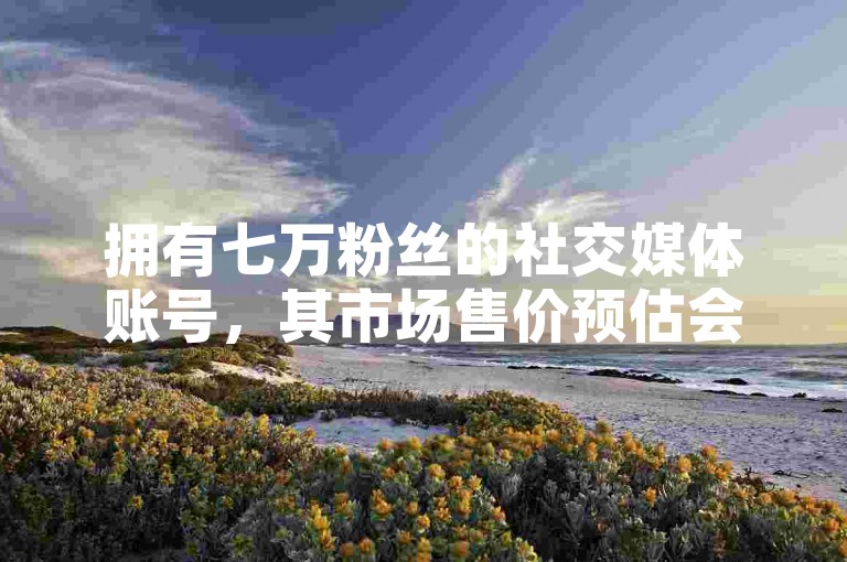拥有七万粉丝的社交媒体账号，其市场售价预估会因多种因素而有所不同。