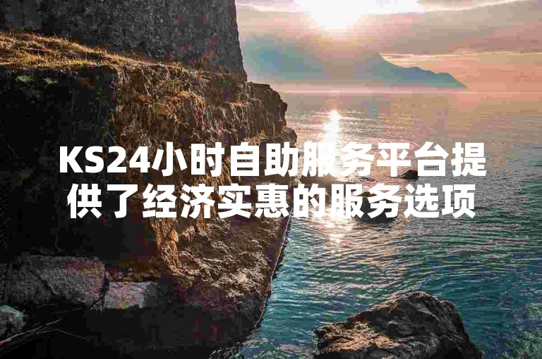 KS24小时自助服务平台提供了经济实惠的服务选项。