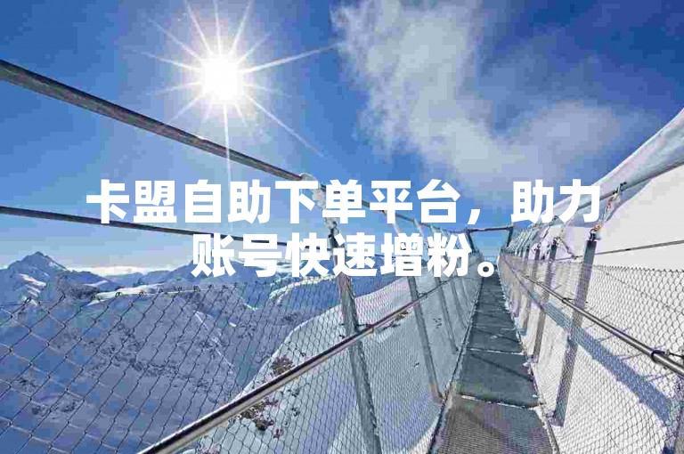 卡盟自助下单平台，助力账号快速增粉。