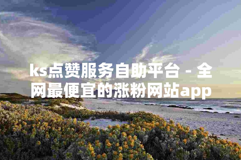 ks点赞服务自助平台 - 全网最便宜的涨粉网站app