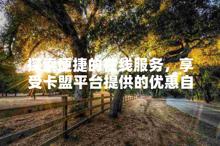 探索便捷的在线服务，享受卡盟平台提供的优惠自助下单体验。