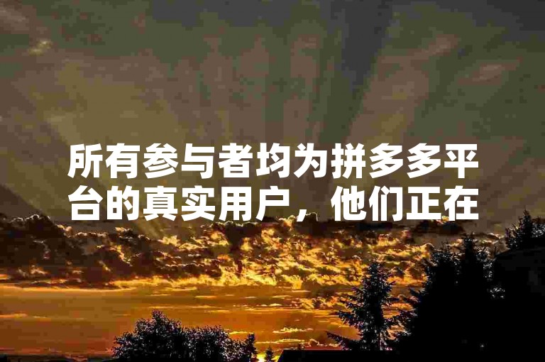 所有参与者均为拼多多平台的真实用户，他们正在使用一款名为多多助力软件的应用。