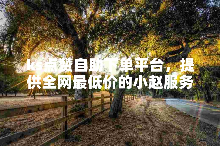 ks点赞自助下单平台，提供全网最低价的小赵服务。
