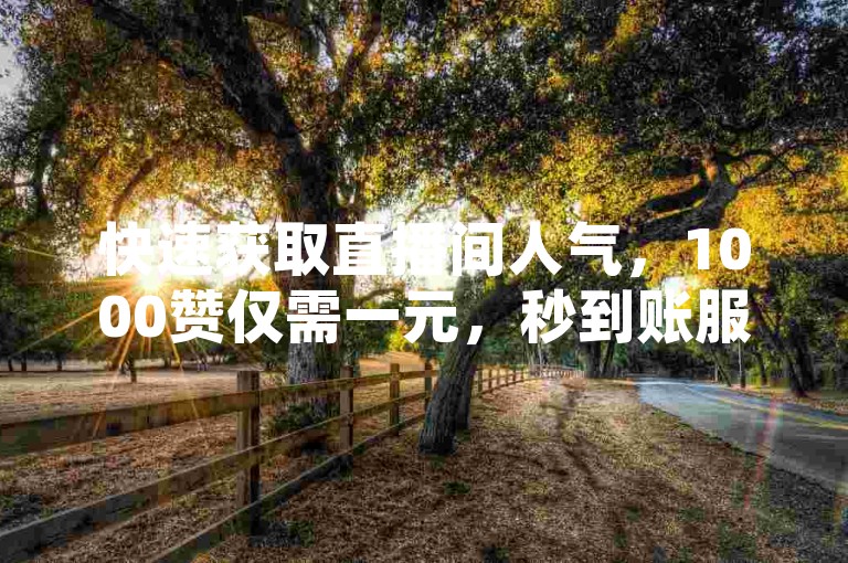 快速获取直播间人气，1000赞仅需一元，秒到账服务。
