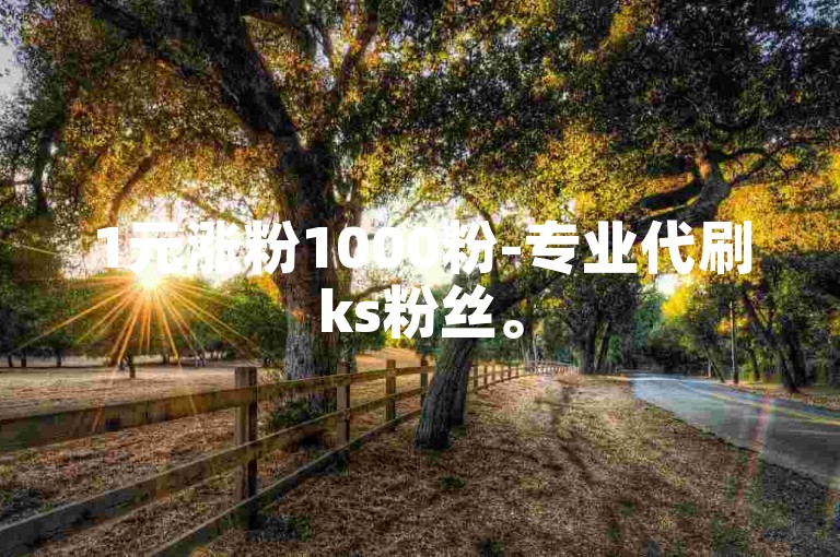 1元涨粉1000粉-专业代刷ks粉丝。