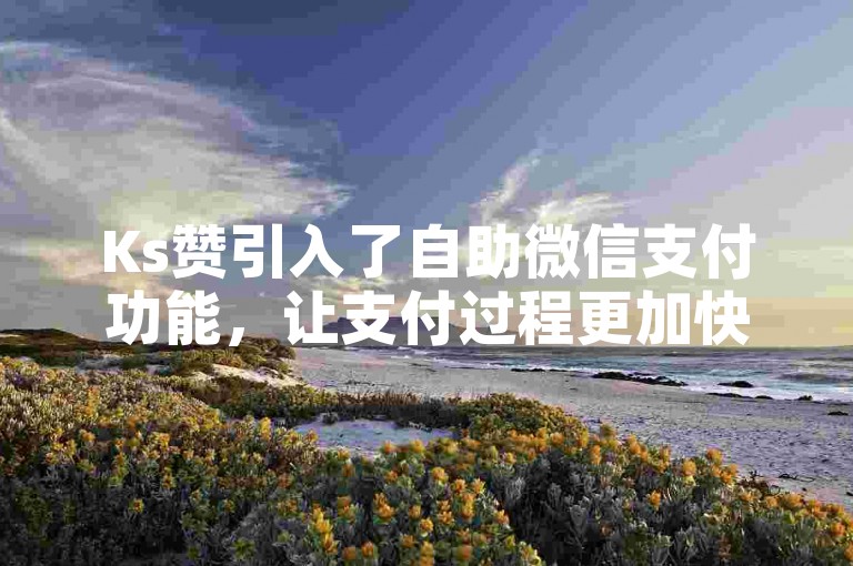 Ks赞引入了自助微信支付功能，让支付过程更加快捷便利。