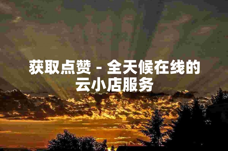 获取点赞 - 全天候在线的云小店服务