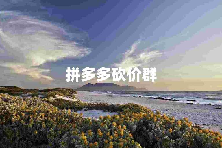 拼多多砍价群500人拼多多助力平台