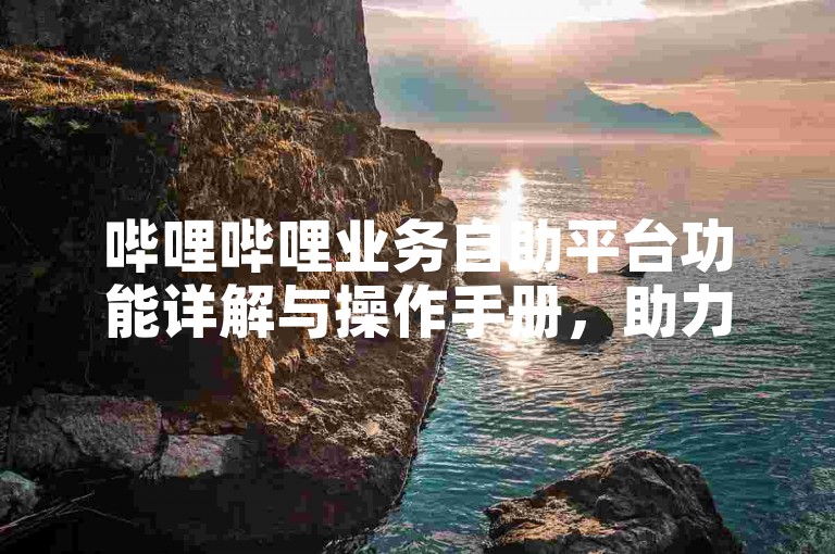 哔哩哔哩业务自助平台功能详解与操作手册，助力网站流量增长及SEO优化。