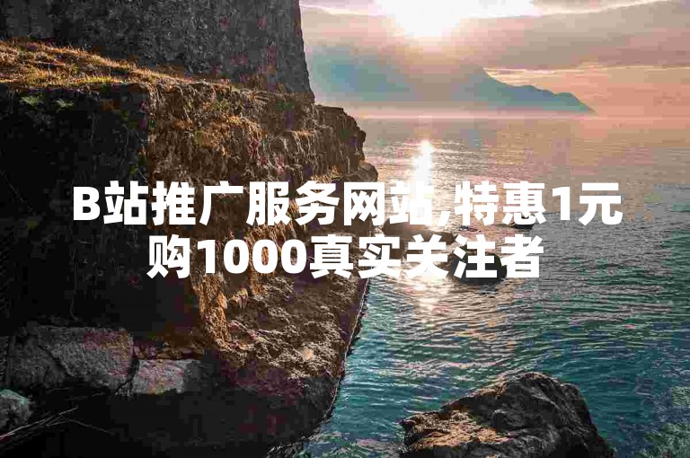 B站推广服务网站,特惠1元购1000真实关注者