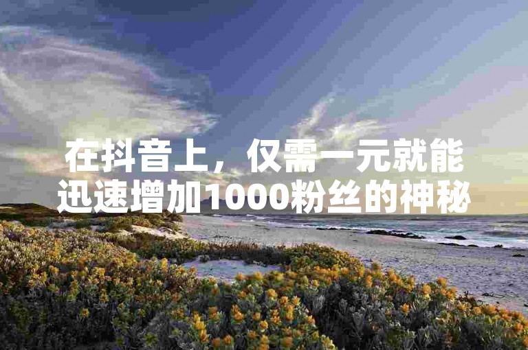 在抖音上，仅需一元就能迅速增加1000粉丝的神秘暗号现已公开。