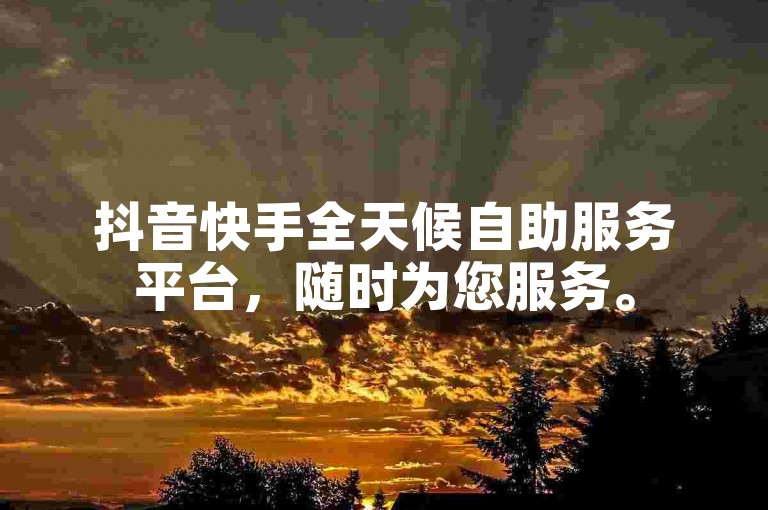 抖音快手全天候自助服务平台，随时为您服务。