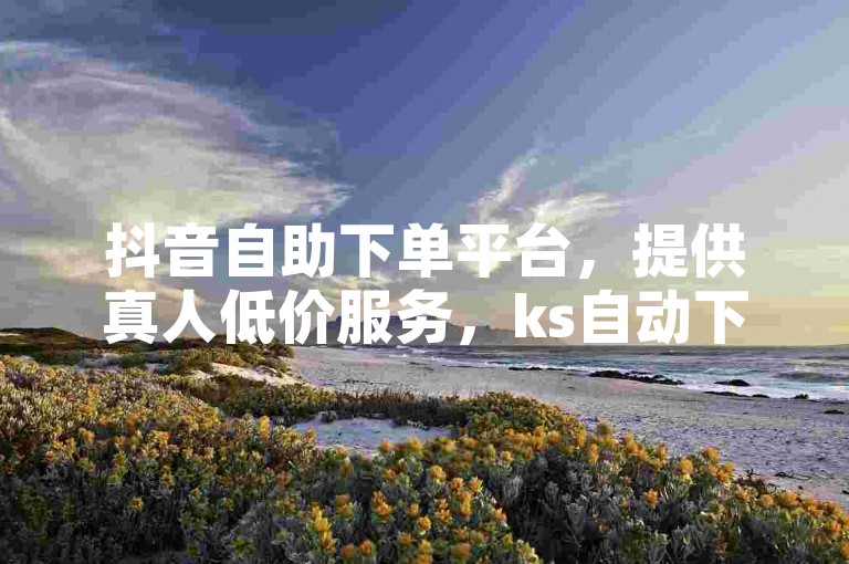 抖音自助下单平台，提供真人低价服务，ks自动下单平台，卡盟一手货源网站。