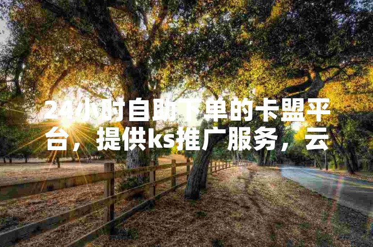 24小时自助下单的卡盟平台，提供ks推广服务，云商城让你享受在线下单的便捷。
