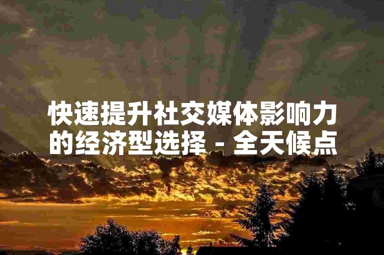 快速提升社交媒体影响力的经济型选择 - 全天候点赞服务自助平台。