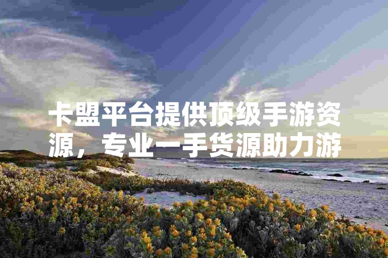 卡盟平台提供顶级手游资源，专业一手货源助力游戏业务增长。