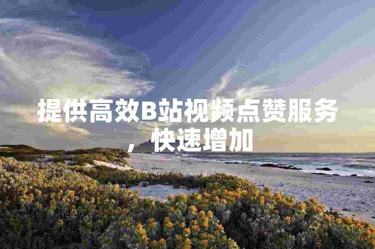 提供高效B站视频点赞服务，快速增加50个双击，全天候自助下单。
