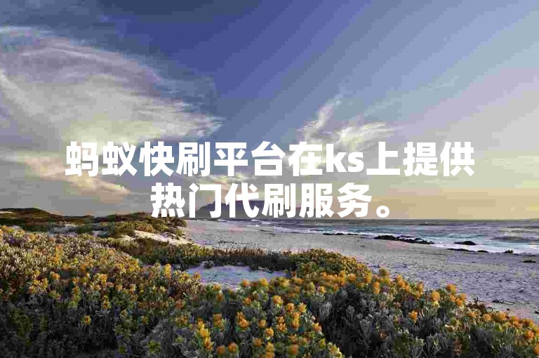 蚂蚁快刷平台在ks上提供热门代刷服务。