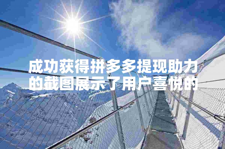 成功获得拼多多提现助力的截图展示了用户喜悦的时刻。