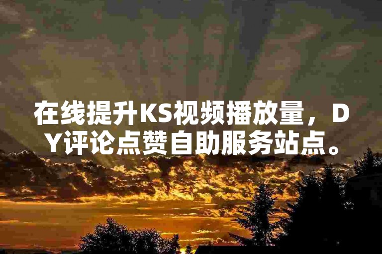 在线提升KS视频播放量，DY评论点赞自助服务站点。