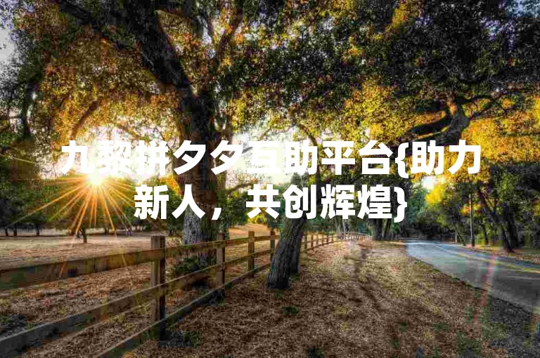 九黎拼夕夕互助平台{助力新人，共创辉煌}