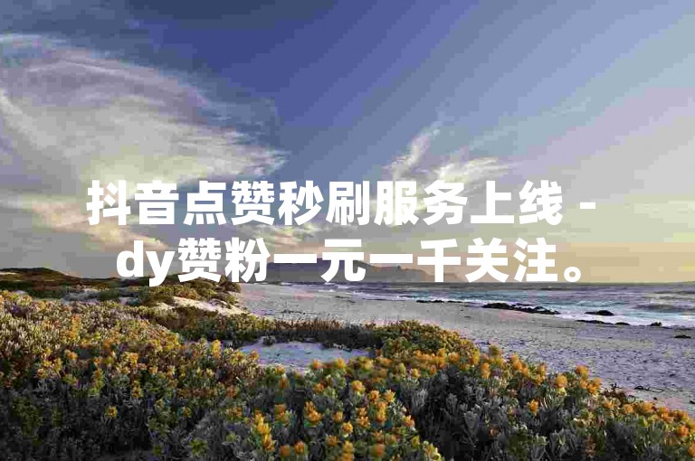 抖音点赞秒刷服务上线 - dy赞粉一元一千关注。