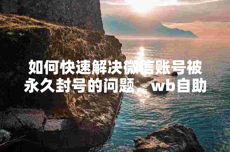 如何快速解决微信账号被永久封号的问题，wb自助下单24小时平台提供专业解决方案。
