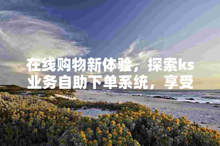 在线购物新体验，探索ks业务自助下单系统，享受wb24小时不间断的自助下单服务。