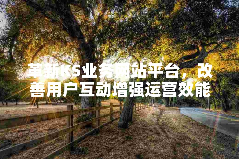 革新KS业务网站平台，改善用户互动增强运营效能。