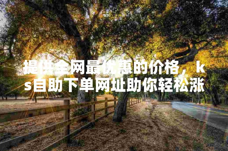 提供全网最优惠的价格，ks自助下单网址助你轻松涨赞。