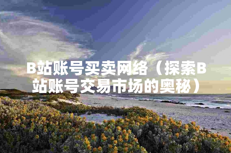 B站账号买卖网络（探索B站账号交易市场的奥秘）