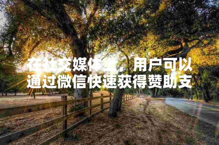 在社交媒体上，用户可以通过微信快速获得赞助支持。
