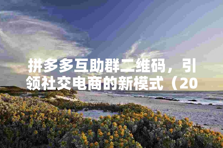 拼多多互助群二维码，引领社交电商的新模式（2024展望）