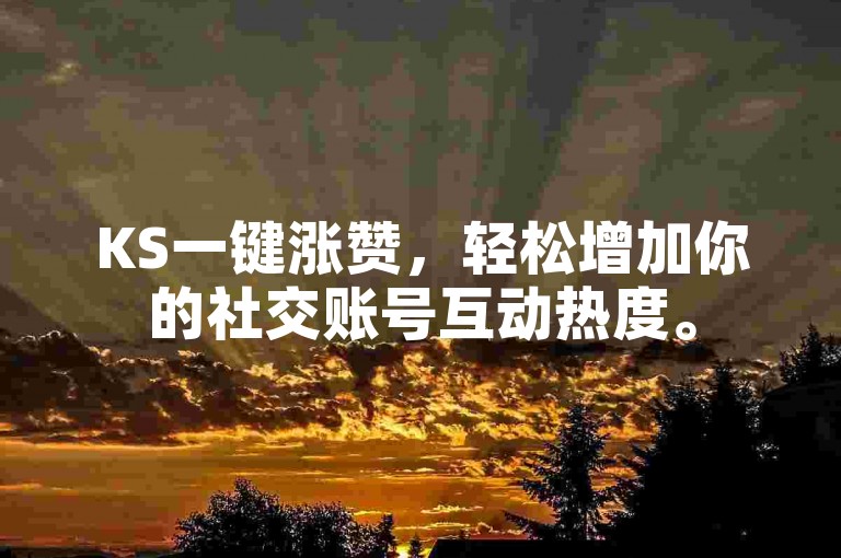 KS一键涨赞，轻松增加你的社交账号互动热度。